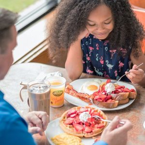 perkins launch